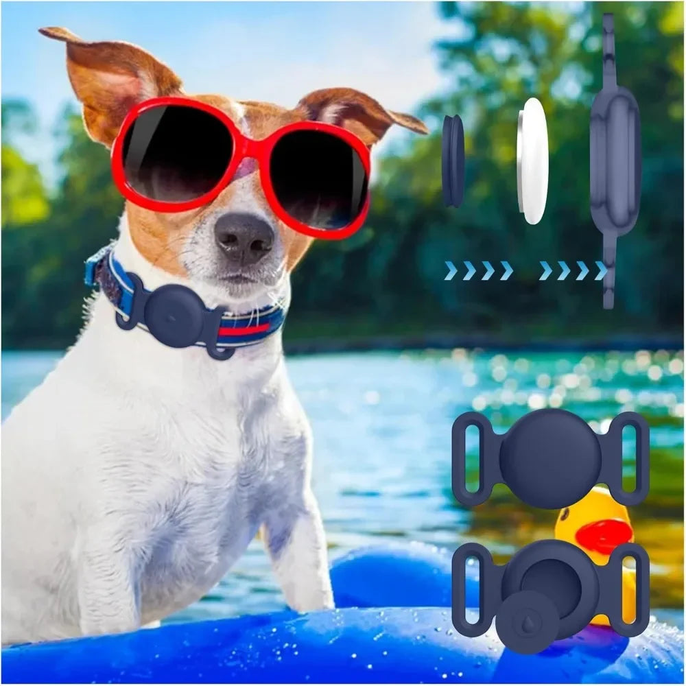 Dog wearing TailTrace collar mount