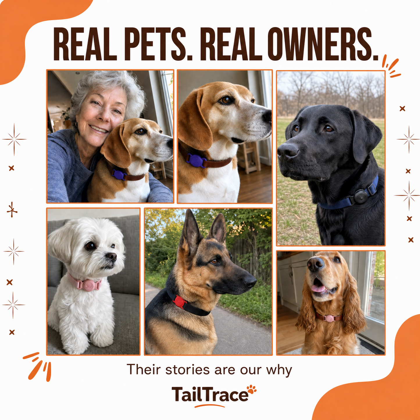 TailTrace™ Dog Collar Tracker