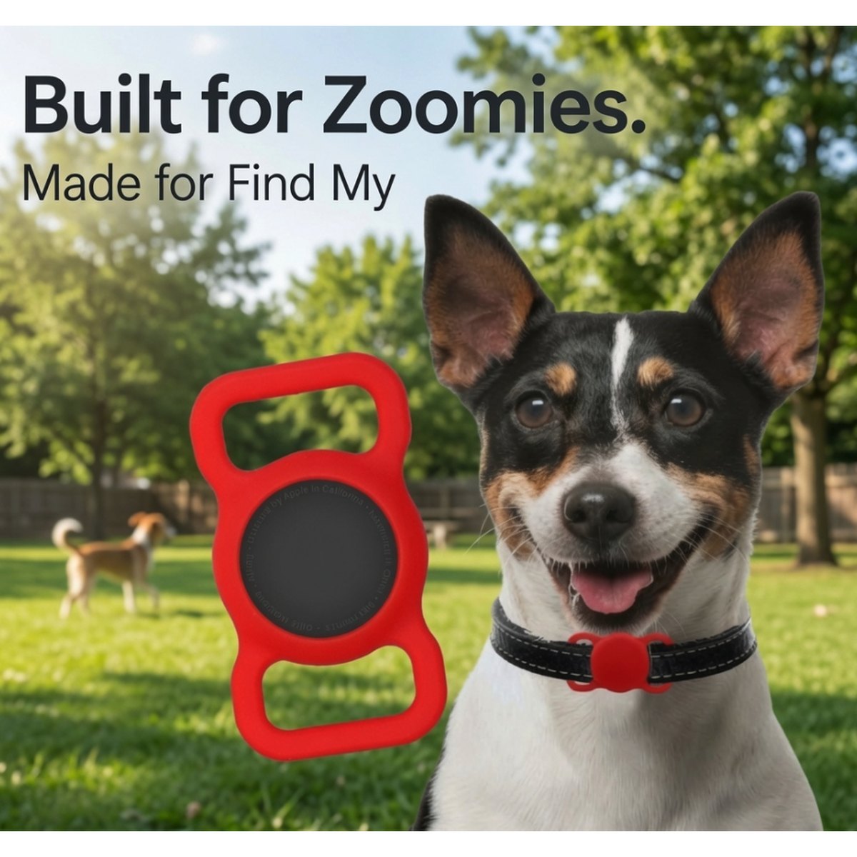 Dog wearing a TailTrace mount in Classic Red on its collar