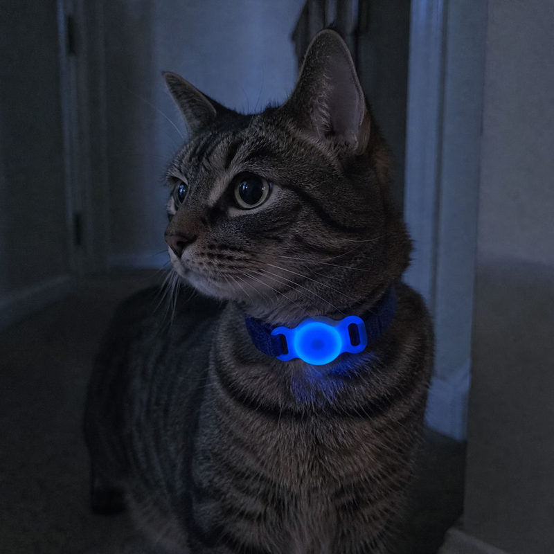 Customer photo from B***y — tabby cat wearing a Glow Blue TailTrace mount glowing in the dark
