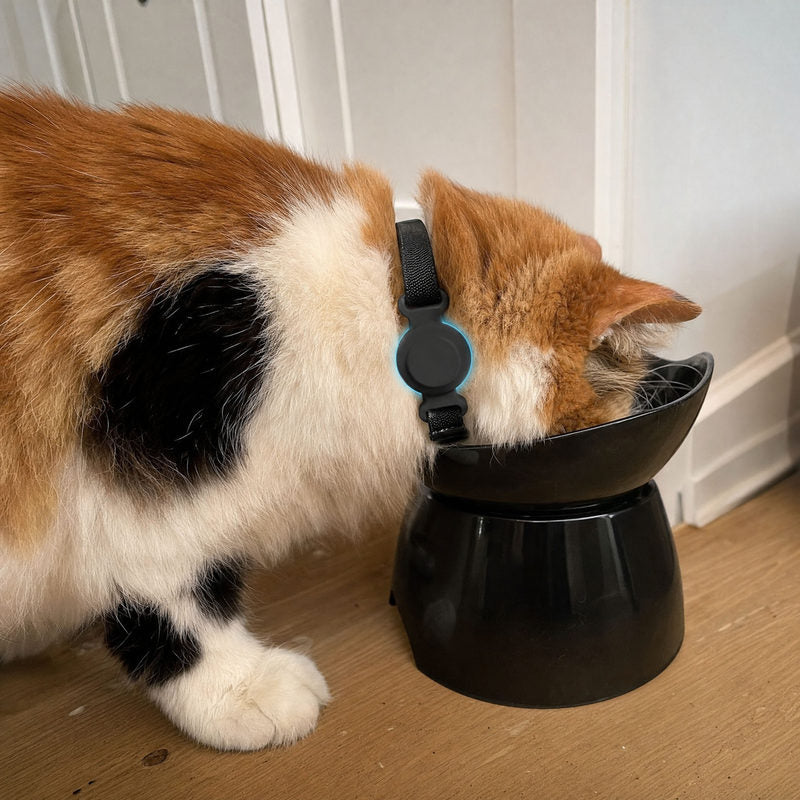 Customer photo: calico cat eating while wearing a Black TailTrace mount